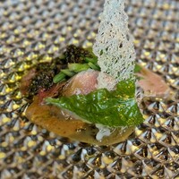 西欧料理 サヴァカ - ウリボーと穴熊