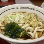 山田うどん - 温うどん♡