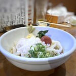 Udon & Sakaba Kaine - 梅おろしぶっかけ（715円）