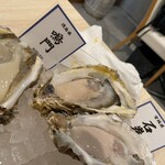 MICHI FISH&OYSTER - 