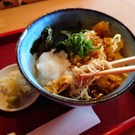 Te Uchi Chi Soba Ume Soba - 冷したぬきそば