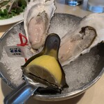 Oyster Bar ジャックポット - 