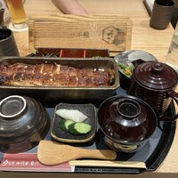 うなぎ四代目菊川 ミッドランドスクエア 名古屋本店 - 