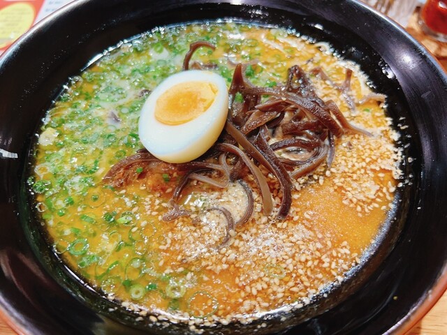 博多ラーメン かっぱ亭（かっぱてい） - 陸前原ノ町（ラーメン）の写真