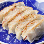 Spica special grilled Gyoza / Dumpling