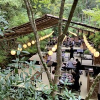 奥貴船 兵衛 - 真ん中の2人、足を川につけてます笑 奥貴船 兵衛 - 真ん中の2人、足を川につけてます笑