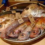 八吉 - 本日の魚