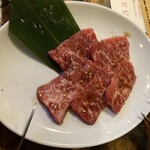 555 GO!GO!FIVE - カルビ