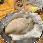 北海道厚岸 - LLサイズのかき