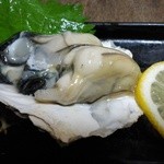 Koriyourinomoto - 殻牡蠣