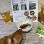 Quartet Brewing Co. - 