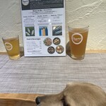 Quartet Brewing Co. - 