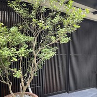 焼肉割烹QUON - 