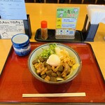 Ayagawa Udon - 煮込み牛すじぶっかけ(並)　７９０円