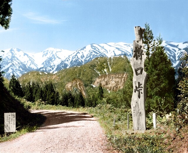 和洋菓子 丸屋 - 小国（スイーツ）の写真