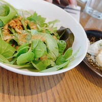 ジンジャーズビーチ サンシャイン - 