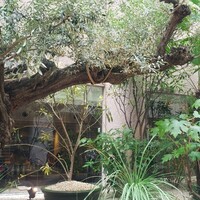 熱香森 - 