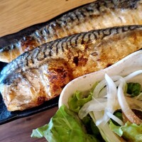 KINKA sushi bar izakaya 渋谷 - 