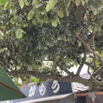 讃岐うどん がもう - 