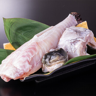 Shibuya Fugu Tatsu - 