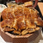 炭焼きうなぎ・かしわ 登河 - 