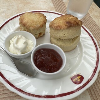 軽井沢の芽衣_1