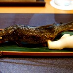 銀座 矢部 -  (2023/6)