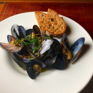 シッポ エスコンディーテ エスパニョール_2