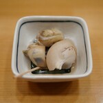 Nagomi - 白バイ貝