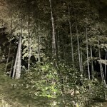 おもてなしとりよし 吉祥寺店 - 