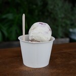 Hilo Homemade Ice Cream - 