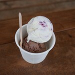 Hilo Homemade Ice Cream - 