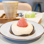 コピカリアン - 