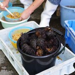 海峡荘 - キタムラサキウニは手むき