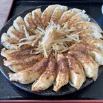 麺処 ひろ田製粉所 - 円盤餃子！