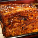 Unagi Chigusa - 