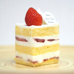 シャンドワゾー - '23.09ショートケーキ