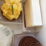 ヴィヴァラヴィダ - 