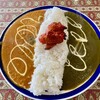 アガン - Wカレー　ほうれん草とキーマカレー