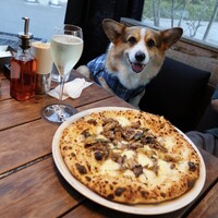 ピッツェリア&トラットリア ゴンゾ 目黒店 - 