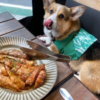 ピッツェリア&トラットリア ゴンゾ 目黒店 - 