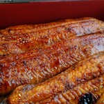 川京 - うなぎ♪接写