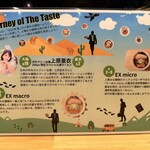 人類みな麺類 - 