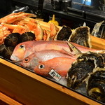 Taru Hachi - 旬の魚貝の饗宴