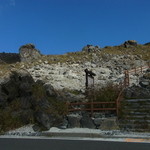 レインフォレストカフェ - 