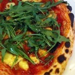 マッシモッタヴィオ