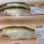 ツルヤ 塩田店 - 