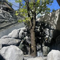 神戸牛511 - 