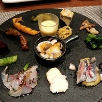 オッジ ダルマット 西麻布店 - 