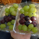 石原果樹園 - 最初に4種類の品種を試食しながら特長などの説明を受け、自分で狩にいきます。ニューピオーネ、キビ、マスカット、桃太郎ぶどうをいただきました。